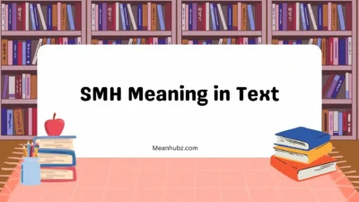 SMH Meaning in Text