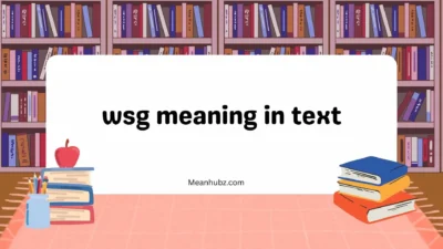 wsg meaning in text