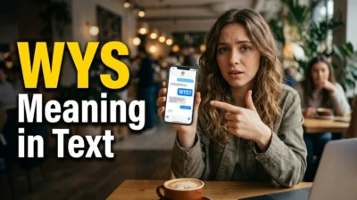 WYS Meaning in Text